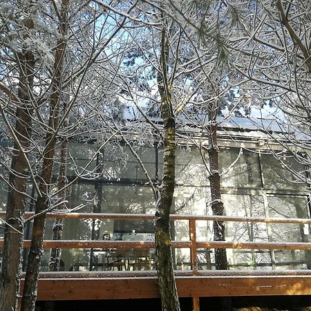 Luksusowy- Nowoczesny Dom W Lesie Villa Kowalewo Esterno foto