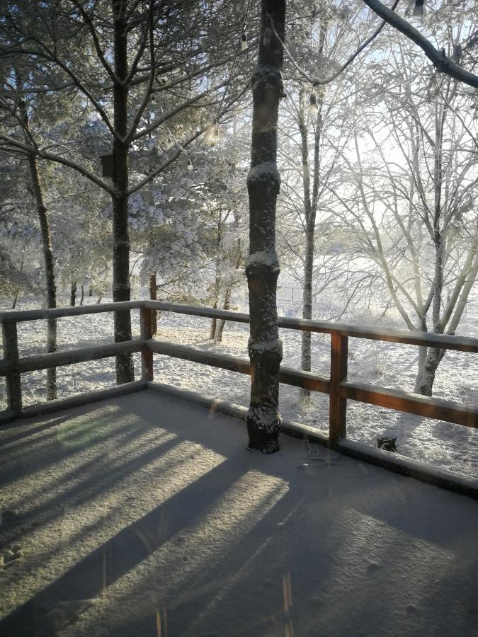 Luksusowy- Nowoczesny Dom W Lesie Villa Kowalewo Esterno foto