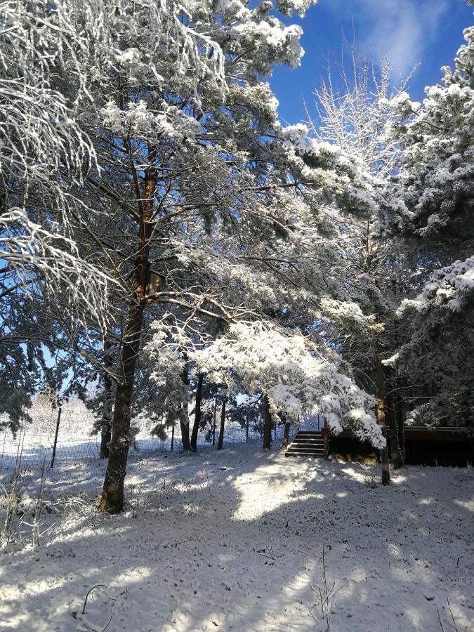 Luksusowy- Nowoczesny Dom W Lesie Villa Kowalewo Esterno foto