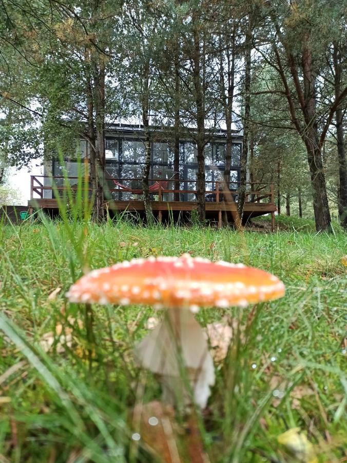 Luksusowy- Nowoczesny Dom W Lesie Villa Kowalewo Esterno foto