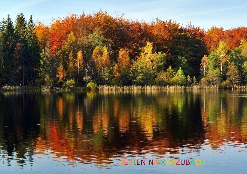 Luksusowy- Nowoczesny Dom W Lesie Villa Kowalewo Esterno foto